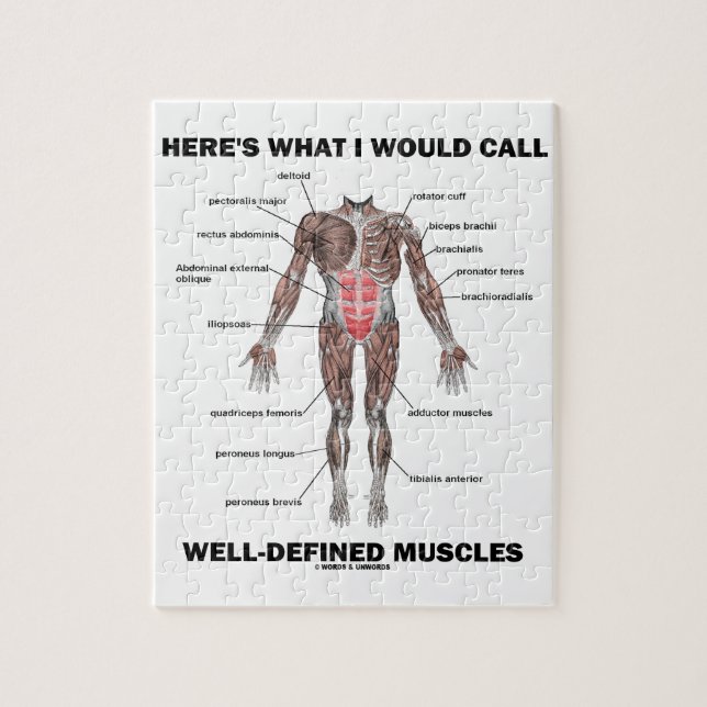 Puzzle Voici ce que j'appellerais les muscles bien (Vertical)