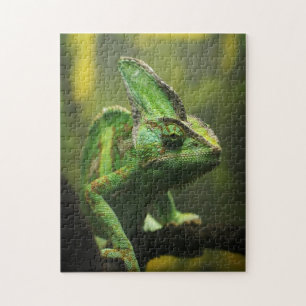 Puzzle voilé de caméléon