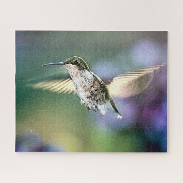 Puzzle Vol de colibri (Horizontal)