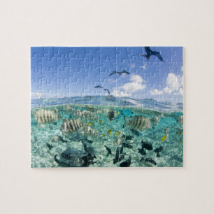 Puzzle voyage safari dans un lagon avec des raies