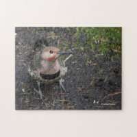 Vue à vol d'oiseau du pic flamboyant