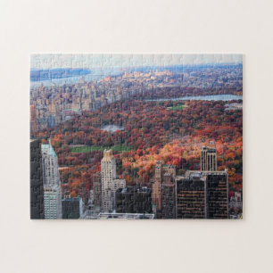 Puzzle Vue d'en haut : Automne à Central Park 01