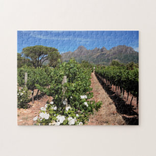 Puzzle Vue des vignobles. Stellenbosch