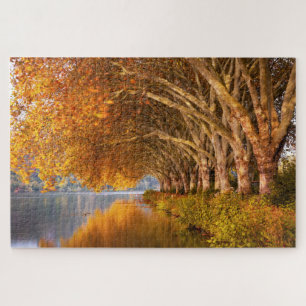 Puzzle Vue pittoresque sur les arbres dorés d'automne au 