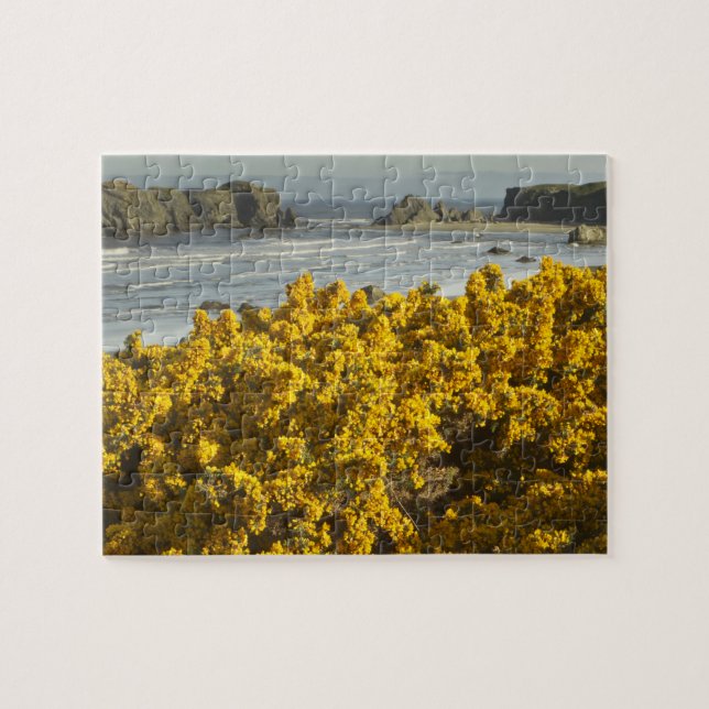 Puzzle Vue sur le littoral, Bandon, Oregon (Horizontal)