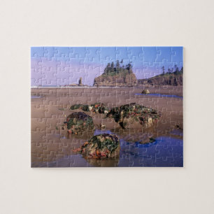 Puzzle WA, PN Olympic, deuxième plage avec des mares rési