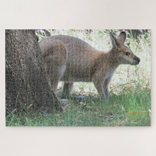 Puzzle wallaby (Horizontal)