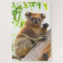 WAVING KOALA 20x30 POUCES