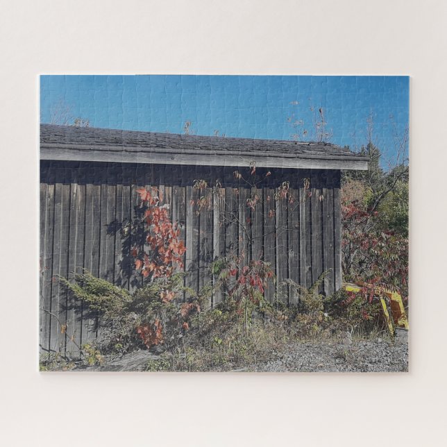 Puzzle Weathered Shed with Encroaching Green (Horizontal)