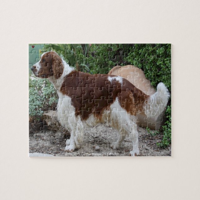 Puzzle Welsh Springer Notre Animal De Famille (Horizontal)