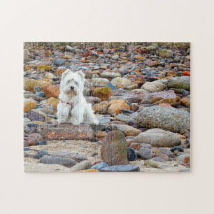 Puzzle West Highland White Terrier