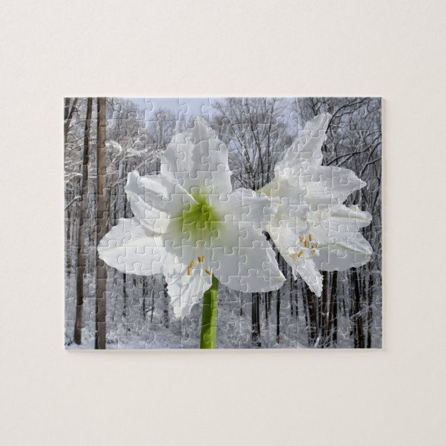 Puzzle White Amaryllis and Snow I (Horizontal)
