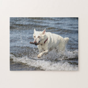Puzzle White German Shepard sur le lac George
