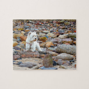 Puzzle White Terrier de West Highland