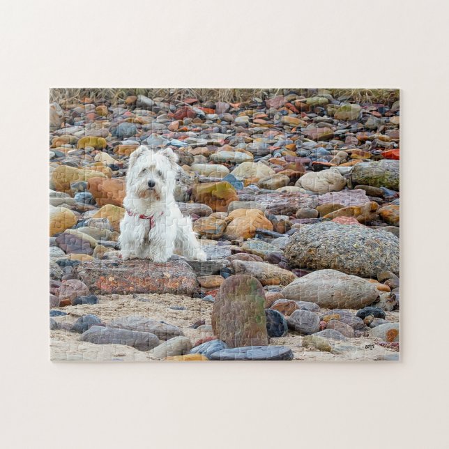 Puzzle White Terrier de West Highland (Horizontal)