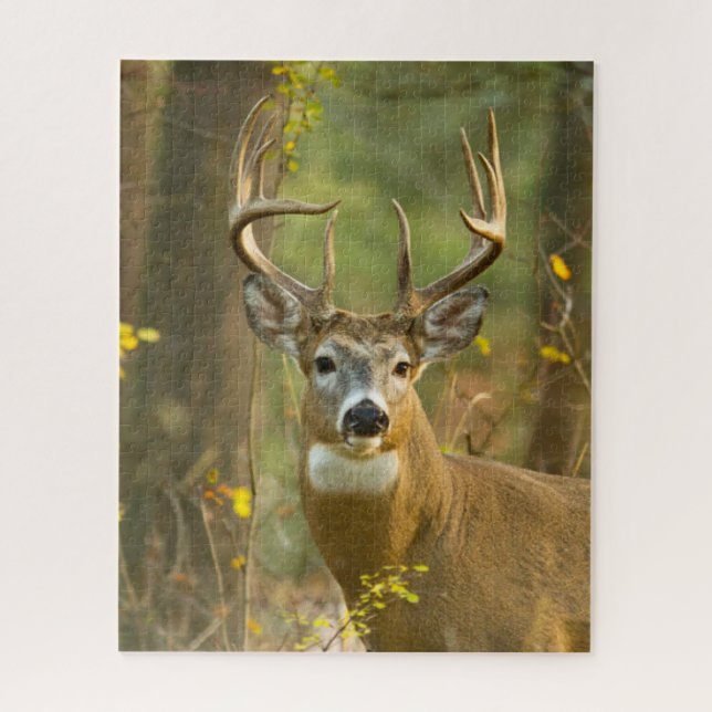 Puzzle Whitetail Deer Buck | Corégone, Montana (Vertical)