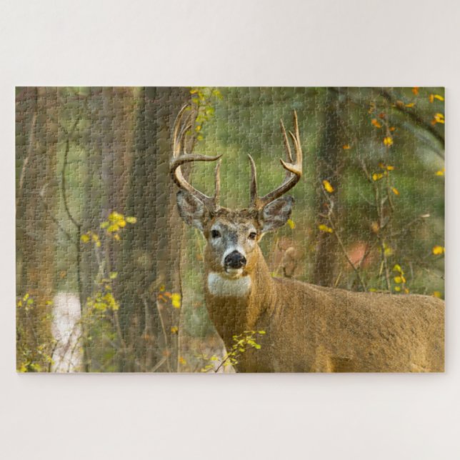Puzzle Whitetail Deer Buck | Corégone, Montana (Horizontal)