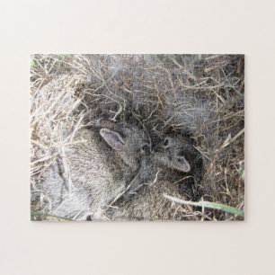 Puzzle Wild Baby Bunnies
