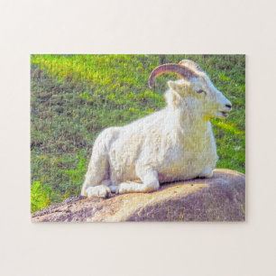 Puzzle Wild Life Canada. Gros mouton de corne.