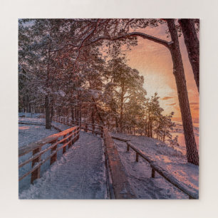 Puzzle Winter sunset in pine forest near sea