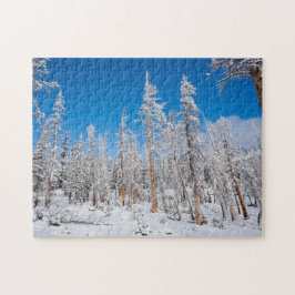 Puzzle Winter Wonderland