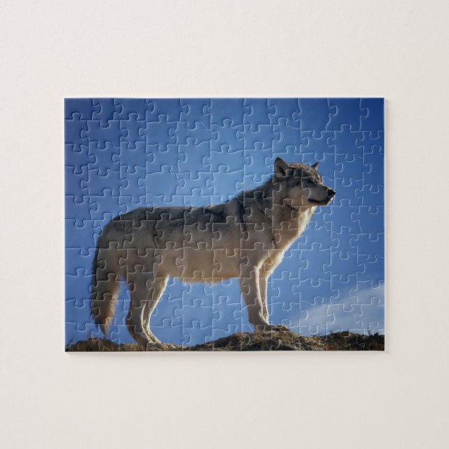 Puzzle Wolf (Horizontal)
