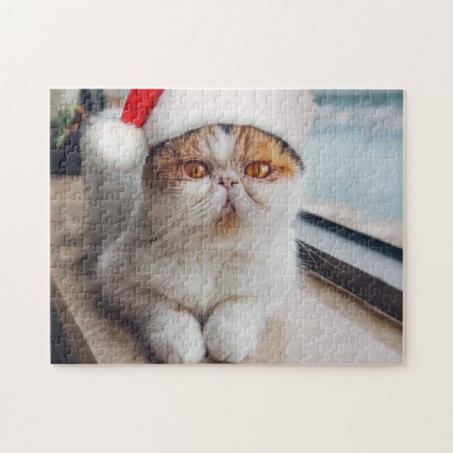 Puzzle Wonderful persian cat with Santa Claus (Horizontal)