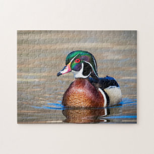 Puzzle Wood Duck in a pond