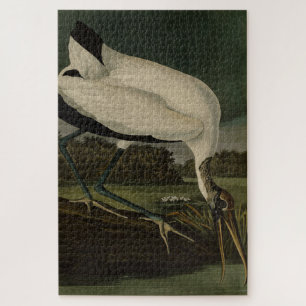 Puzzle Wood Ibiss (Ibis, Stork) : Audubon Birds of Americ