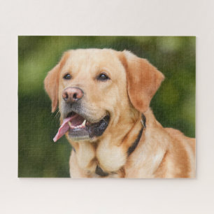 Puzzle Yellow Labrador Retriever Dog - Lab