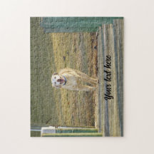 Yellow Labrador Retriever Running