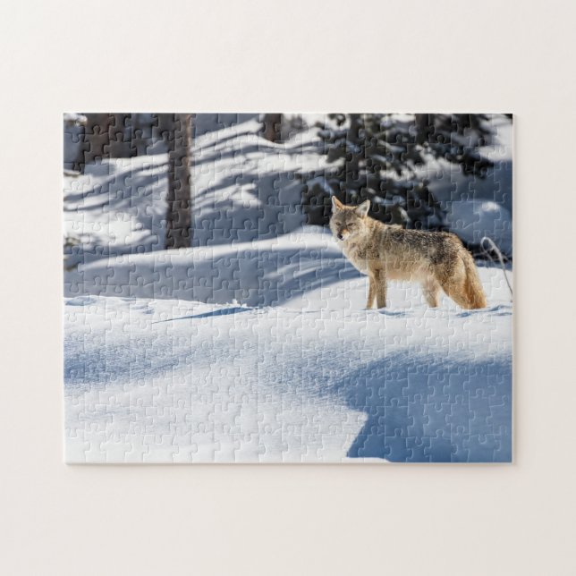 Puzzle Yellowstone Coyote (Horizontal)