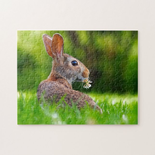 Puzzle Yellowstone Rabbit (Horizontal)