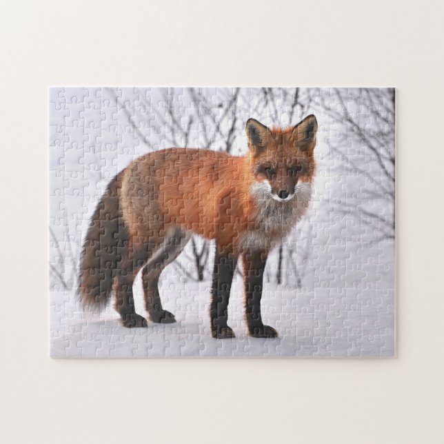 Puzzle Yellowstone Red Fox (Horizontal)