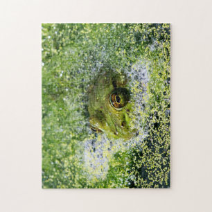Puzzle Yeux de grenouille