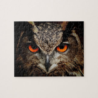 Puzzle Yeux d'une casse-tête de hibou