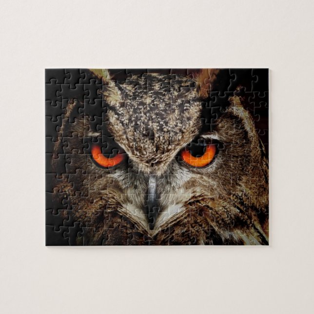 Puzzle Yeux d'une casse-tête de hibou (Horizontal)