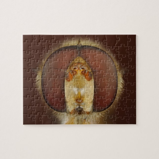 Puzzle Yeux principaux et composés d'une mouche de vol (Horizontal)