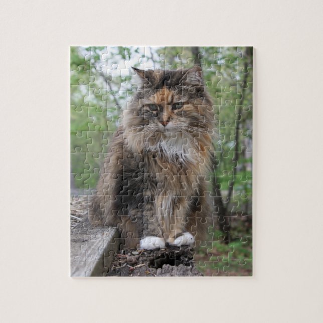 Puzzle Yipper | Photographie de chat | Cherie's Art(c)202 (Vertical)