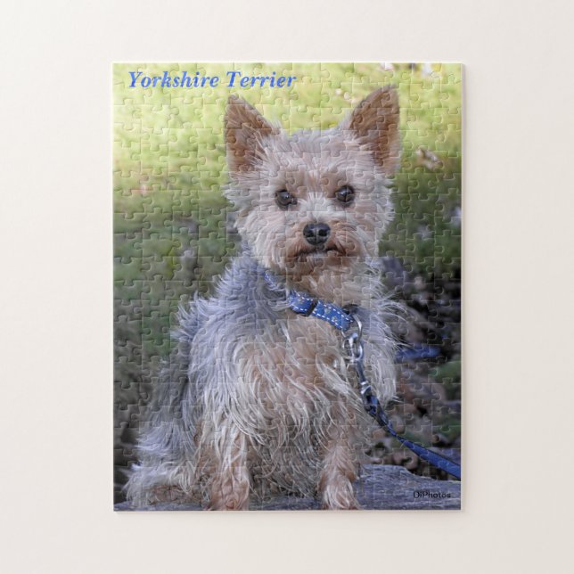 Puzzle Yorkshire Terrier (Vertical)