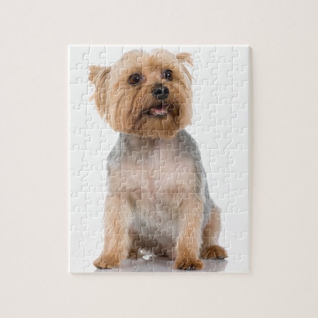 Puzzle Yorkshire Terrier (Vertical)