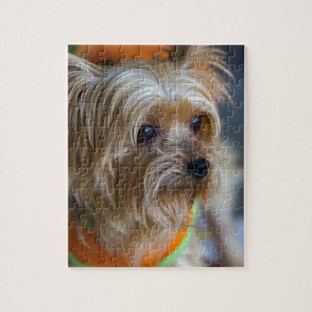 Puzzle Yorkshire Terrier blond (Vertical)