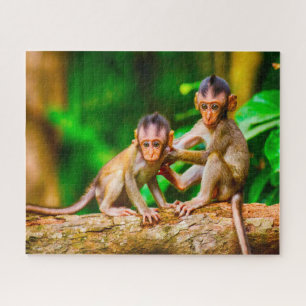 Puzzle Young Monkeys.