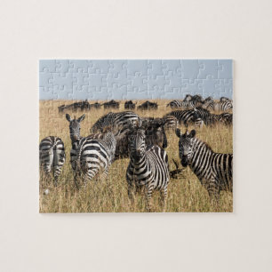 Puzzle Zebra Jigsaw de Grant
