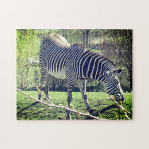 Puzzle Zebra Relaxing Self-Care
