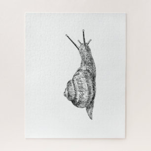 Puzzle zeichnend Schwarz-Weiß-Schnecke