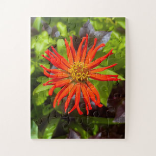 Puzzle Zinnia orange radieux Hommage floral à Alzheimer
