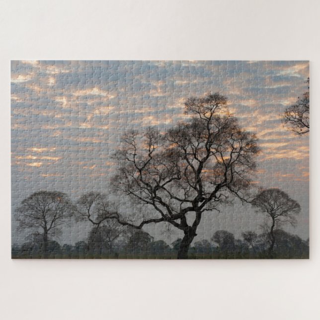 Puzzle Zones humides du Pantanal | Amérique du Sud, Brési (Horizontal)