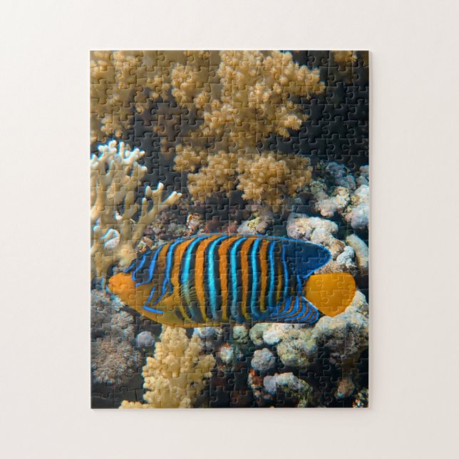 Puzzles aquatiques Photos marines Puzzle de poisso (Vertical)