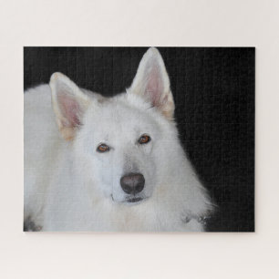 Puzzles Berger Blanc Allemand.